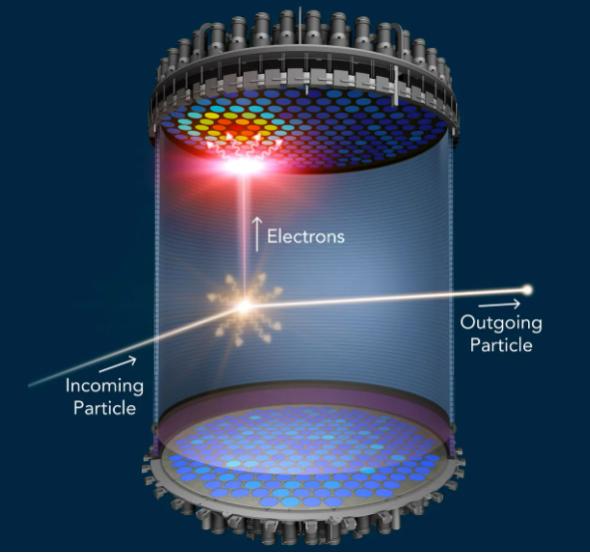 The incoming Dark Matter particle scatters on the atoms of the detector producing an observable signal. 